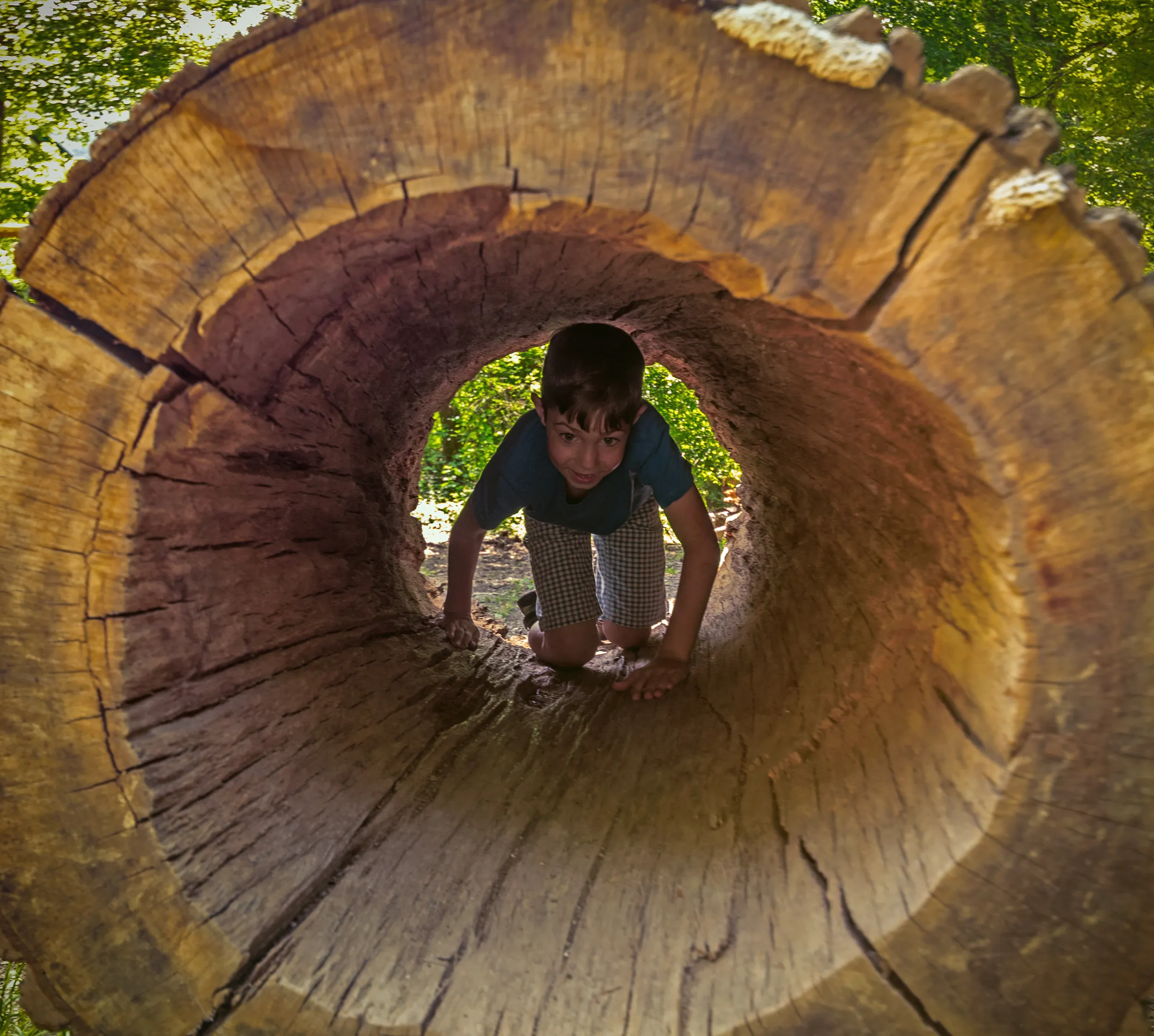 Kind klettert durch einen Holzstamm-Tunnel